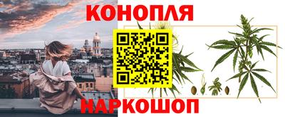 спайс Аргун