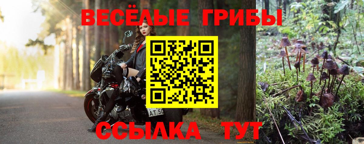 Псилоцибиновые грибы Magic Shrooms  где продают   Белорецк  Вход с VPN  Псилоцибиновые грибы MAGIC MUSHROOMS 